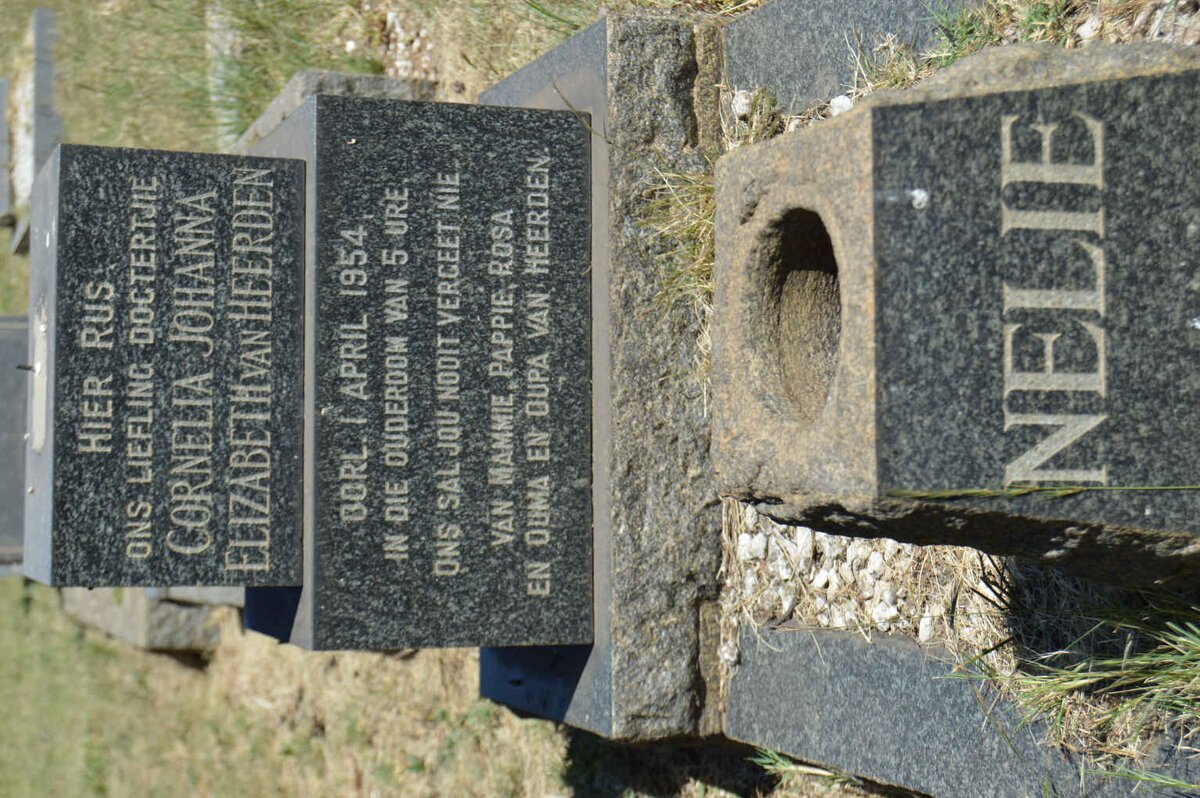 HEERDEN Cornelia Johanna Elizabeth, van 1954-1954