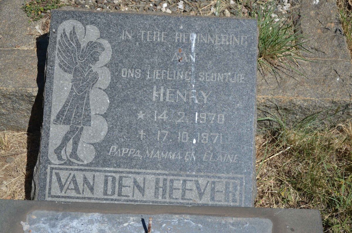 HEEVER Henry, van den 1970-1971