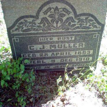 MULLER C.J. 1863-1910