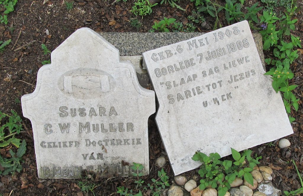 MULLER Susara C.W. 1908-1908