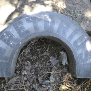 PRETORIUS Johannes Lodewicus 1876-1960