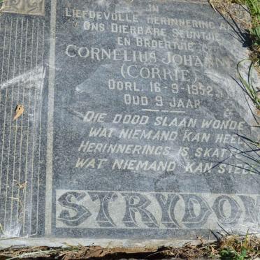 STRYDOM Cornelius Johannes -1952