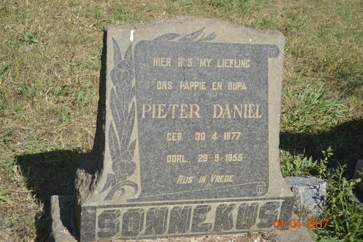 SONNEKUS Pieter Daniel 1877-1955