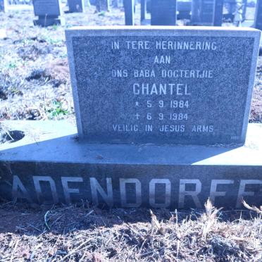 ADENDORFF Chantel 1984-1984