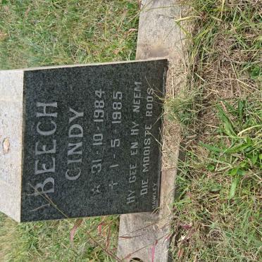 BEECH Cindy 1984-1985