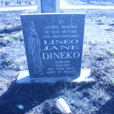 DINEKO Lineo Jane 1921-2012
