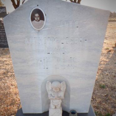 DAVID Anthony Joseph 1973-1977