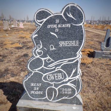 GWEBU Sphesihle 2009-2009