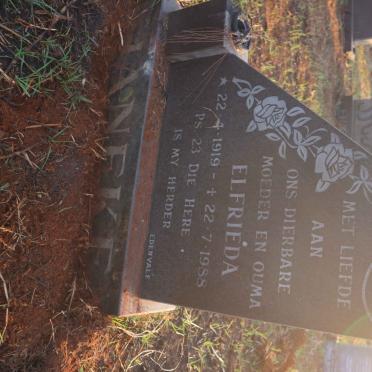 JANEKE Elfrieda 1919-1988