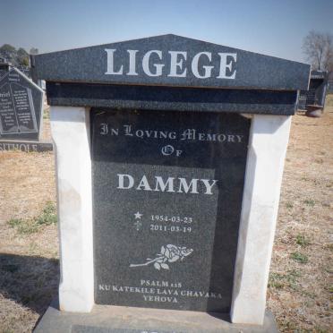 LIGEGE Dammy 1954-2011