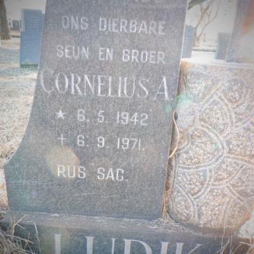 LUDIK Cornelius A. 1942-1971