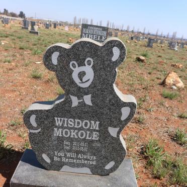 MOKOLE Wisdom 2011-2011