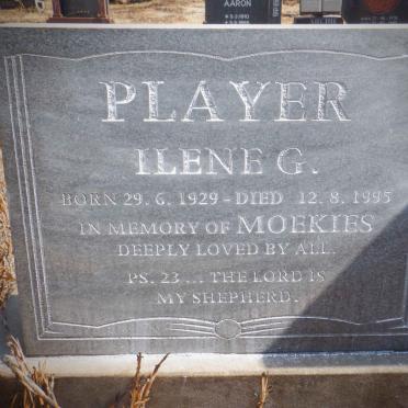 PLAYER Ilene G. 1929-1995