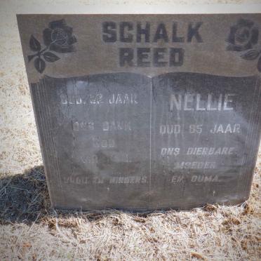 REED Schalk &amp; Nellie