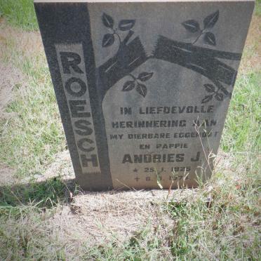 ROESCH Andries J. 1925-1974