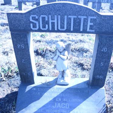 SCHUTTE Jaco 1976-1981