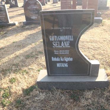 SELANE Gauta Goodwell 1980-2001