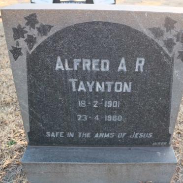 TAYNTON Alfred A.R. 1901-1980
