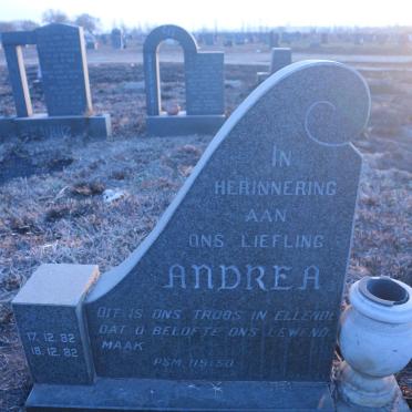 THOMPSON Andrea 1982-1982