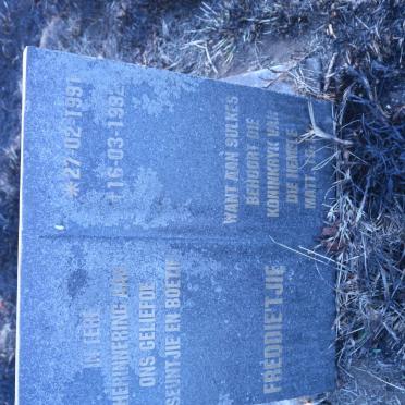 ? Freddie'tjie 1991-1992