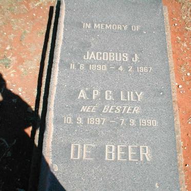 BEER Jacobus J., de 1890-1967 &amp; A.P.C. BESTER 1897-1990