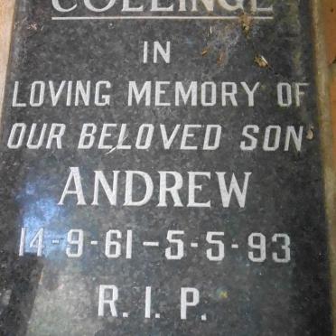 COLLINGE Andrew 1961-1993