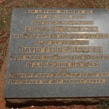 FALCONER Euphemia -1912 :: FALCONER  David Fern -1942