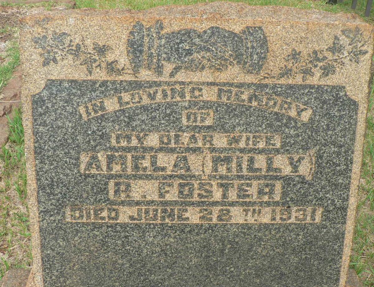 FOSTER Amela R. -1931