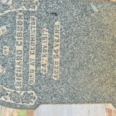 GIBSON Richard -1917