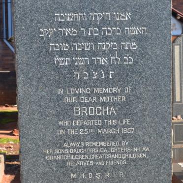 GILLMAN Brocha -1957