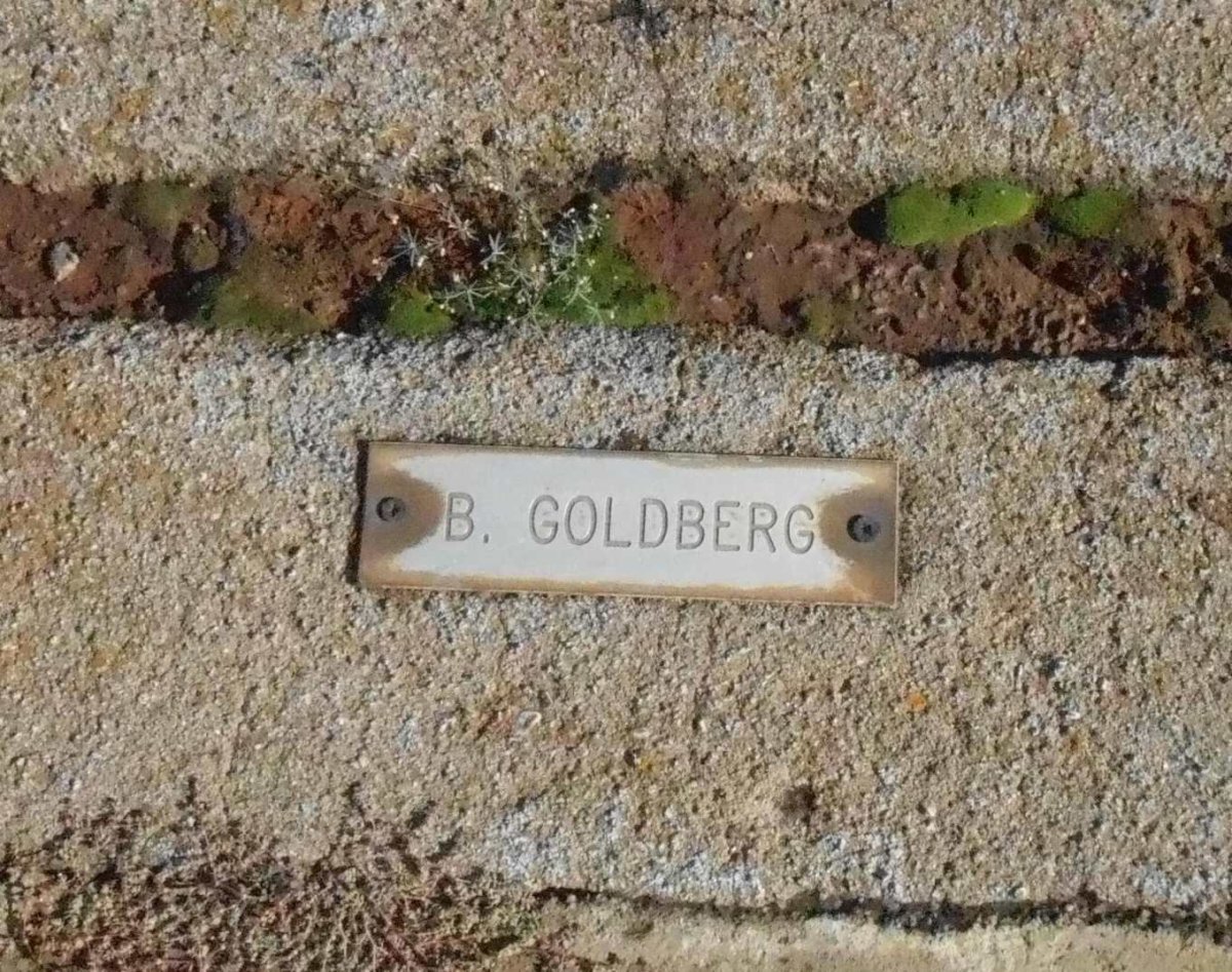 GOLDBERG B.