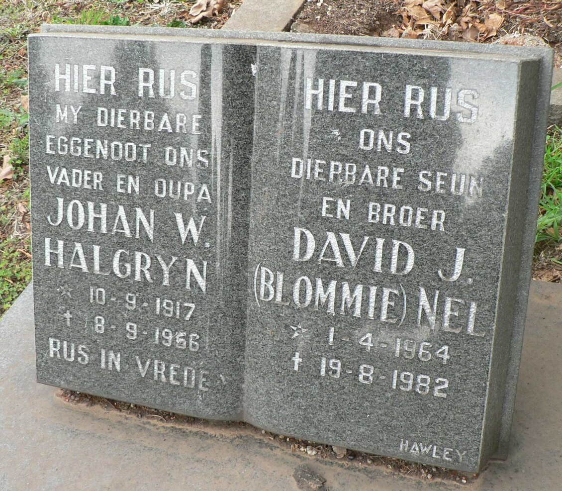 HALGRYN Johan W. 1917-1956 :: NEL David J. 1964-1982