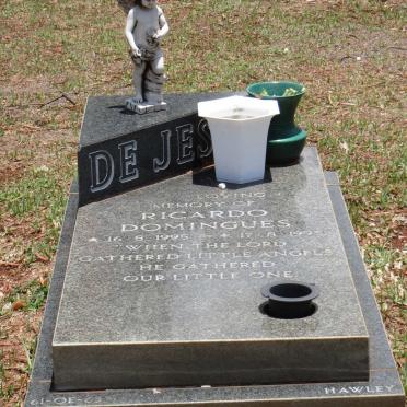 JES? Ricardo Domingues, de 1995-1995