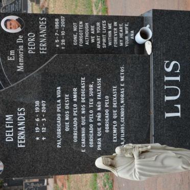 LUIS Delfim Fernandes 1938-2007 :: LUIS Pedro Fernandes 1968-2007