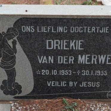 MERWE Driekie, van der 1953-1955