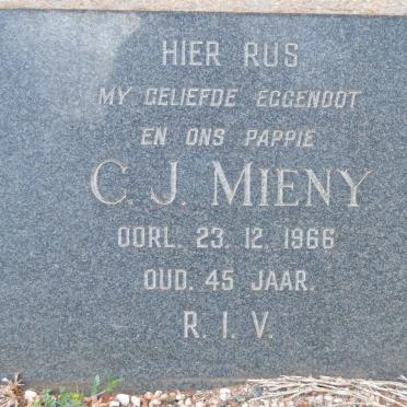 MIENY C.J. -1966