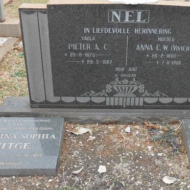 NEL Pieter A.C. 1875-1967 & Anna C.W. VIVIERS 1880-1966 :: HITGE Ockert Almero 1918-1994 & Martina Sophia 1920-1997