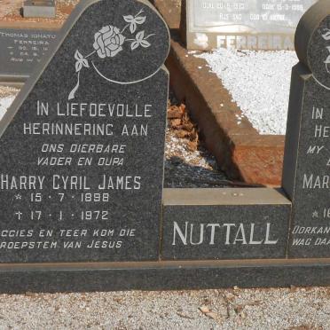 Nu - Surnames starting with the letters Nu