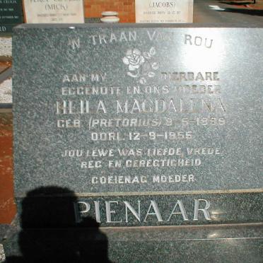 Pi - Surnames starting with the letters Pi