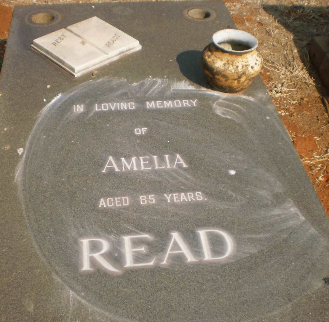 READ Amelia