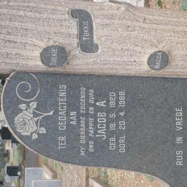 ROSSOUW Jacob A. 1920-1968