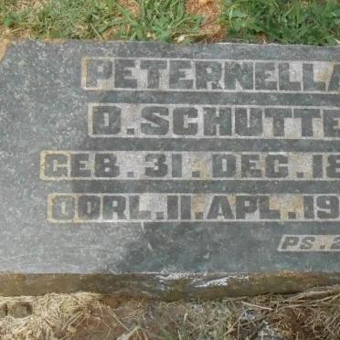 SCHUTTE Peternella D. 1860-1930