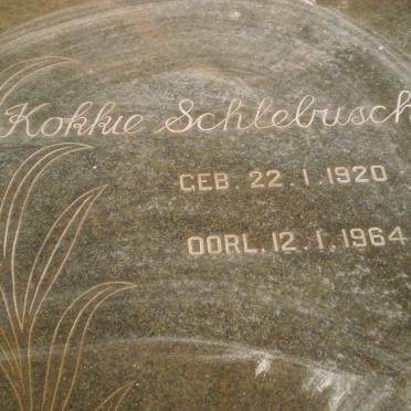 SCHLEBUSCH Kokkie 1920-1964