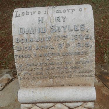 STYLES Henry David 1908-1915