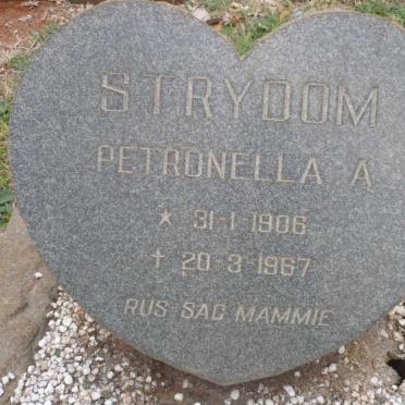 STRYDOM Petronella A. 1906-1967