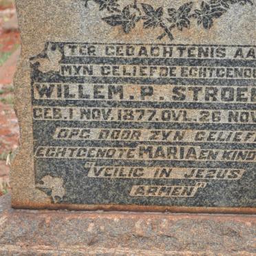 STROEBEL Willem P. 1877-1919