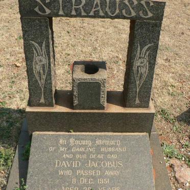 STRAUSS David Jacobus -1951