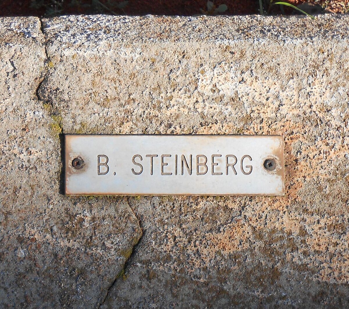 STEINBERG B.