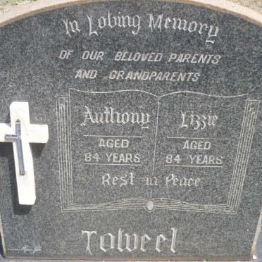 TOWEEL Anthony &amp; Lizzie