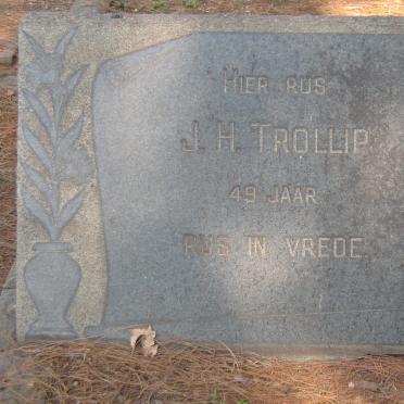 TROLLIP J.H.